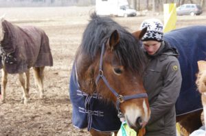 Uku Andreas ja tema hobune Ellävhõpõ peavad nõu peale oma esimest võistlust. Foto: Rein Raudsepp
